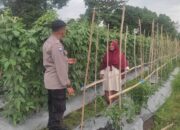 Cara Bhabinkamtibmas Polsek Labuapi Sukseskan Ketahanan Pangan Desa