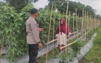 Cara Bhabinkamtibmas Polsek Labuapi Sukseskan Ketahanan Pangan Desa