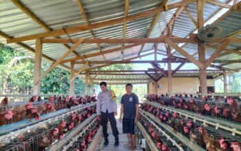 Dukung Program Ketahanan Pangan Bhabinkamtibmas Desa Sakra Selatan Monitoring