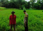 Sinergi Polsek Labuapi dan Petani Jaga Ketahanan Pangan