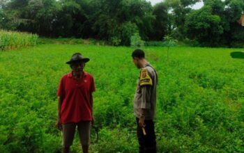 Sinergi Polsek Labuapi dan Petani Jaga Ketahanan Pangan
