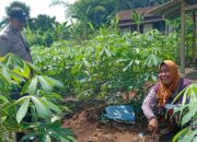 Strategi Polsek Labuapi Wujudkan Ketahanan Pangan dan Tekan Belanja Bulanan Warga