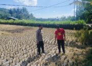 Menjaga Ketahanan Pangan Nasional dari Desa, Polri Dampingi Petani Kuripan Hadapi Tantangan MT3